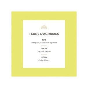 Spray senteur agrumes 100ml Esteban® - TERRE D'AGRUMES 101