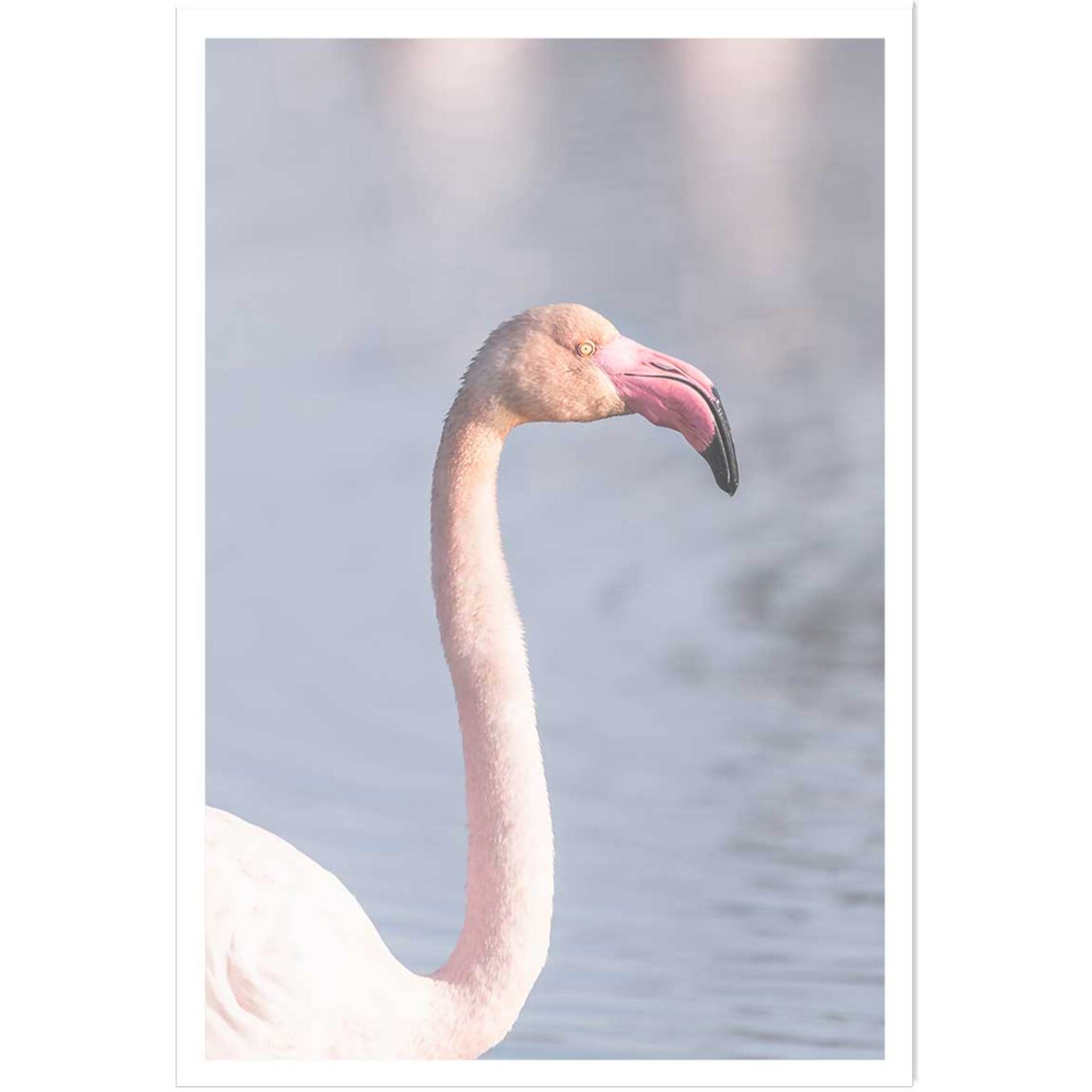 Affiche pastel pink flamingo Affiche seule