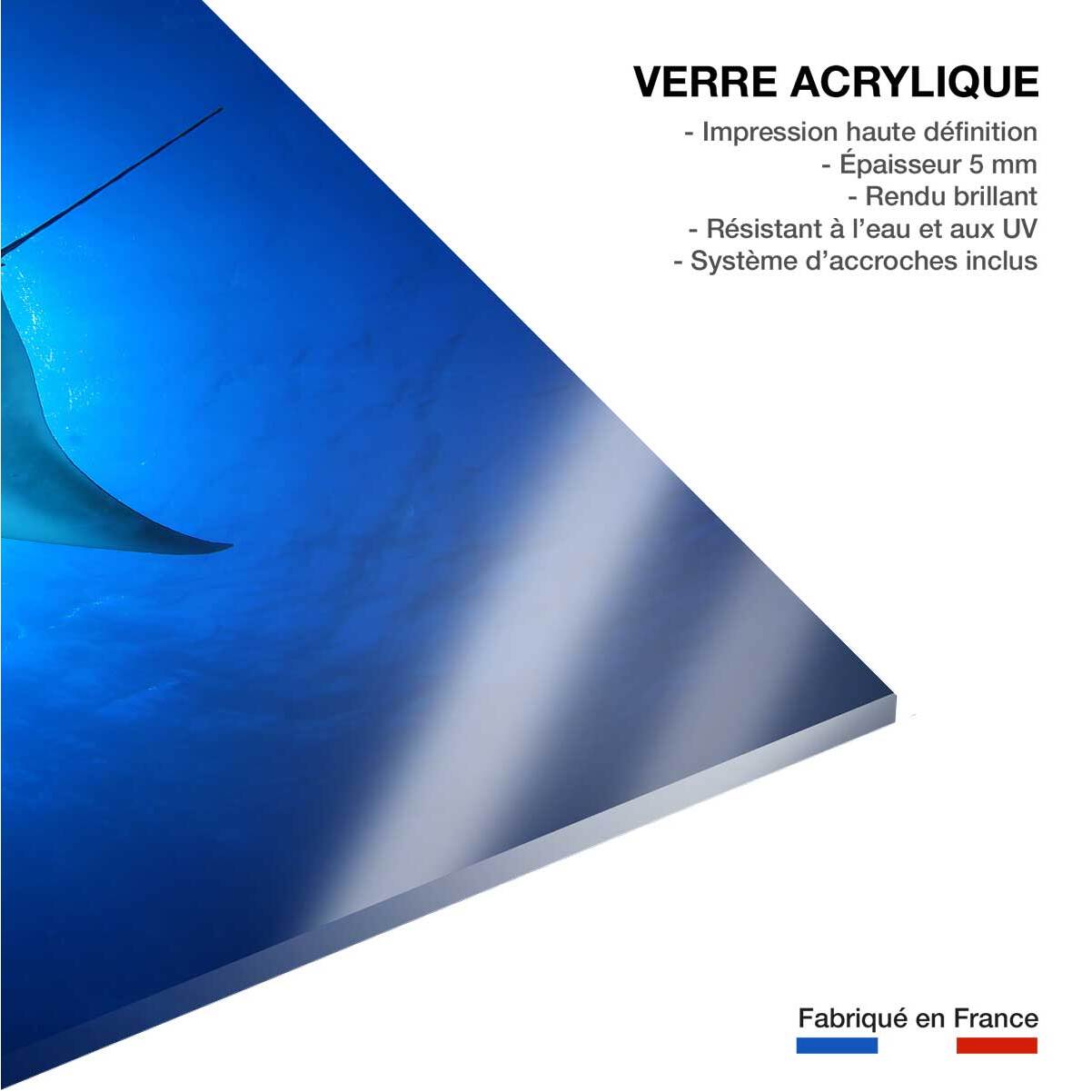 Tableau animaux marins raie manta Tableau plexiglas