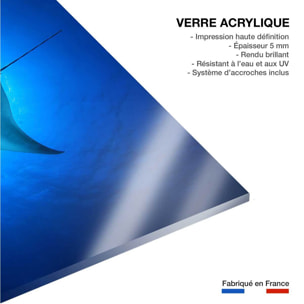Tableau animaux marins raie manta Tableau plexiglas