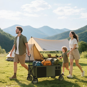 Carro Plegable de Jardín con Mango telescópico 5 Bolsas para Playa 108x55x93 cm