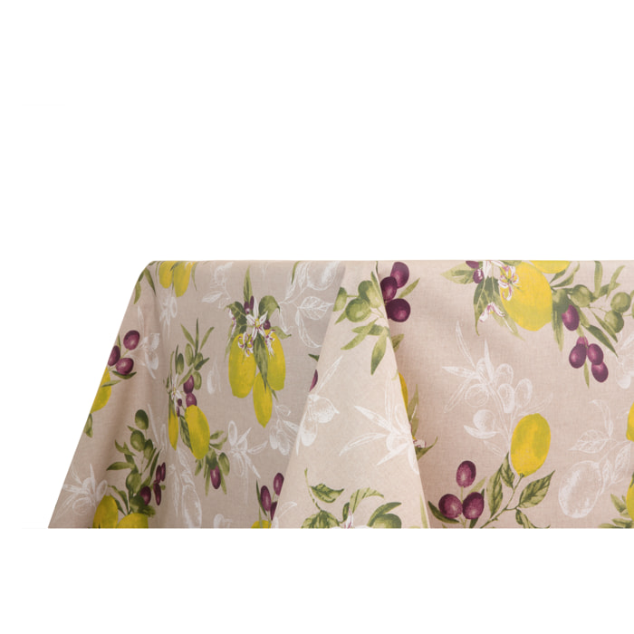 TOVAGLIA ANTIMACCHIA CAPRI