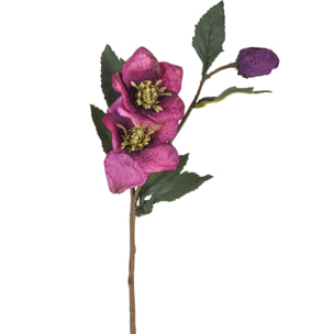 Helleborus Rosa Naturale - Pezzi 6 - 10X56X18 - Colore: Viola - Bianchi Dino - Fiori Artificiali