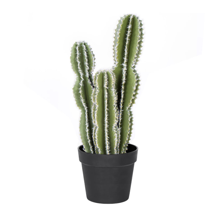 Cactus Castillo De Hadas 62 Cm