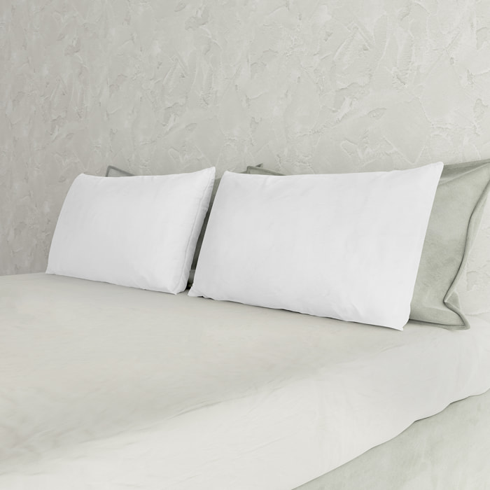 COPPIA FEDERE MAX COLOR, 100% Cotone, Made in Italy - BIANCO