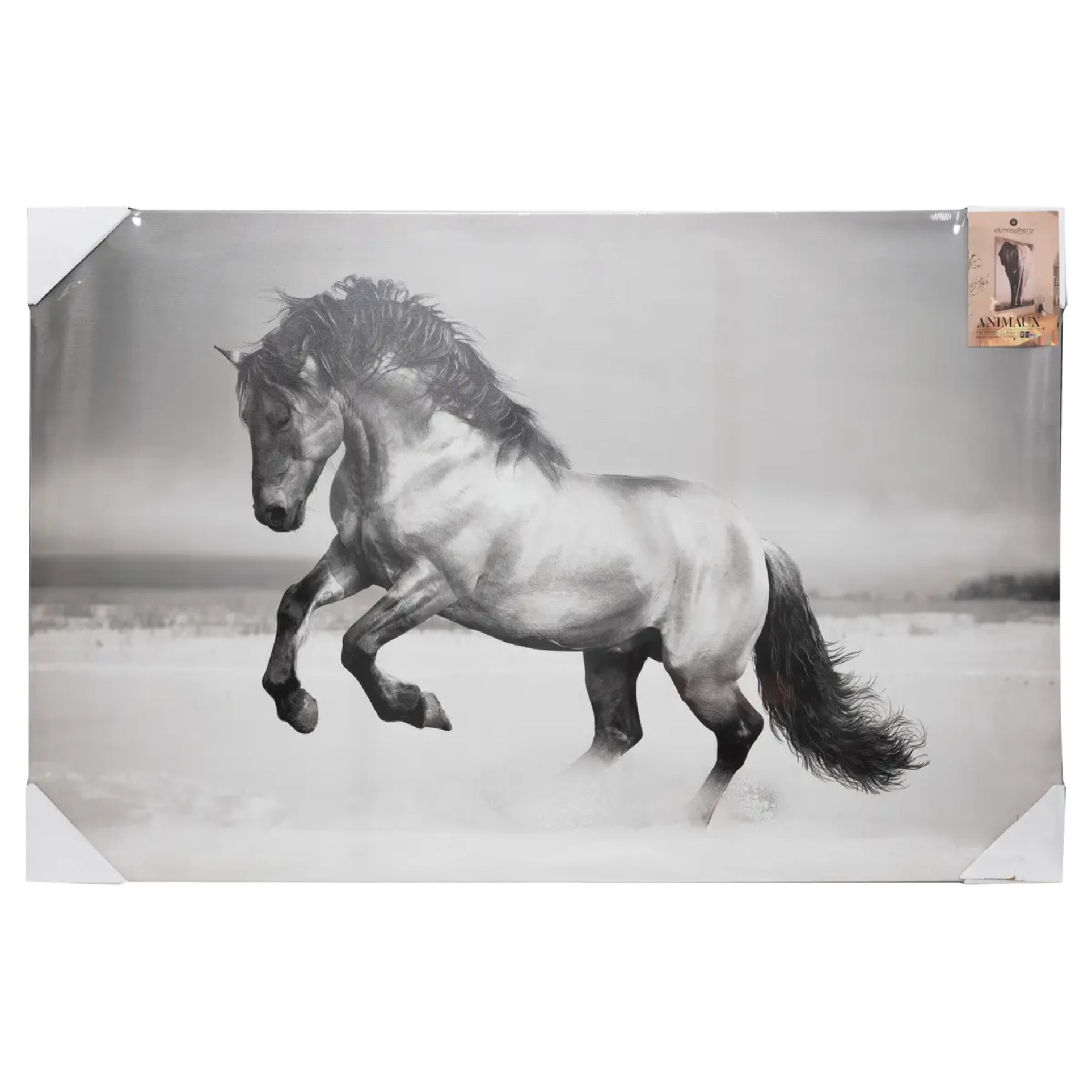 Toile encadrée "Animaux" 75x115cm