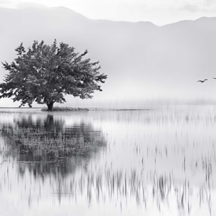 Affiche nature reflets d'eau Affiche sous cadre noir
