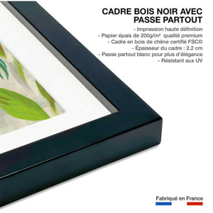 Poster Hibiscus des tropiques Affiche sous cadre noir