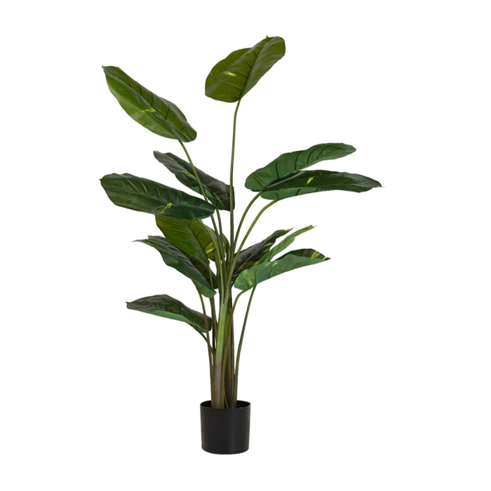 Planta Artificial Rhadhidophora Aureum Con Maceta 80x80x160 Cm