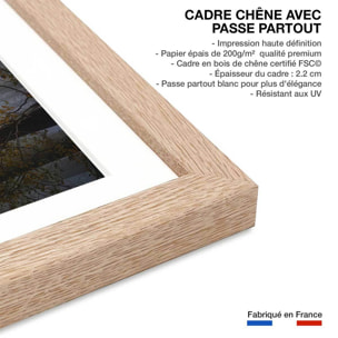 Affiche l'arbre et l'automne rouge Affiche sous cadre bois