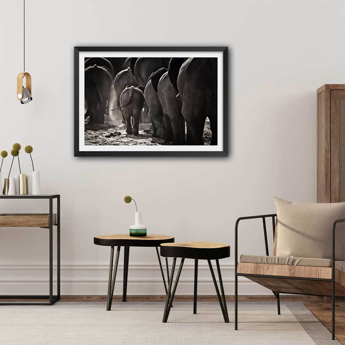 Affiche animaux cap afrique Affiche + cadre en bois - Noir