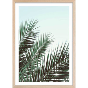 Poster palme verte Affiche + cadre en bois - Chêne