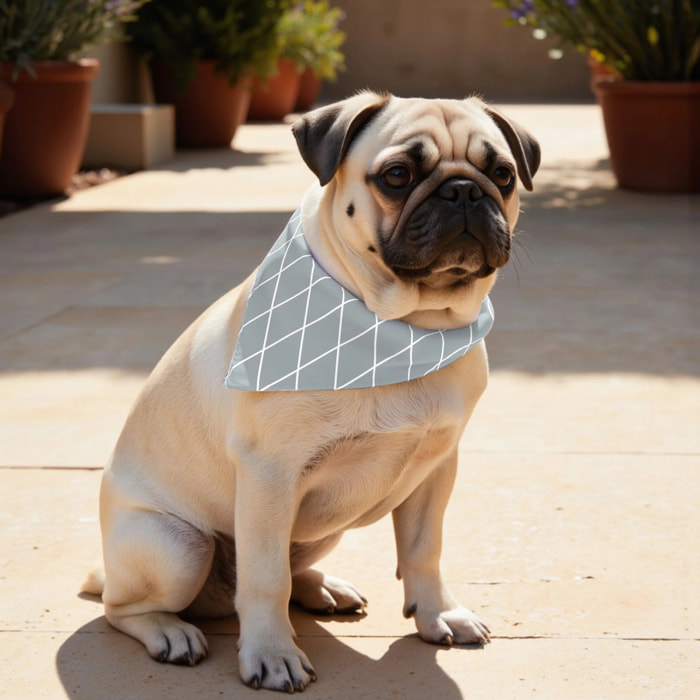 Pack de 2 bandanas pour animaux 0120-297