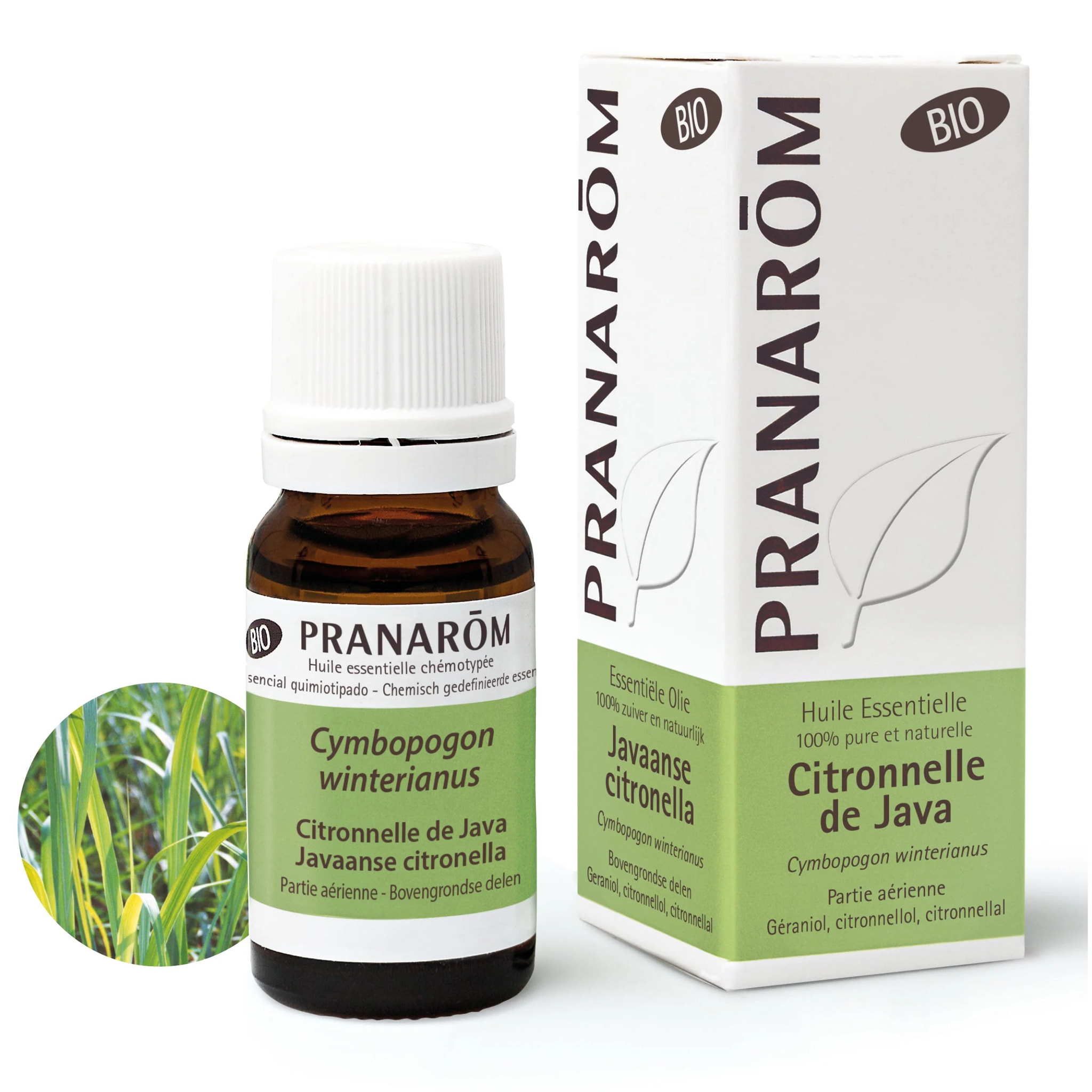 Pranarom - Huile Essentielle de Citronnelle de Java - Bio - 10 ml