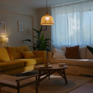 FORLIGHT Riba - Lámpara Colgante De Techo De Ratán Natural - Lámpara De Techo Moderna De E