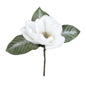 Ramo magnolia - Pezzi 6 - 18xH40x17cm - Bianchi Dino SpA