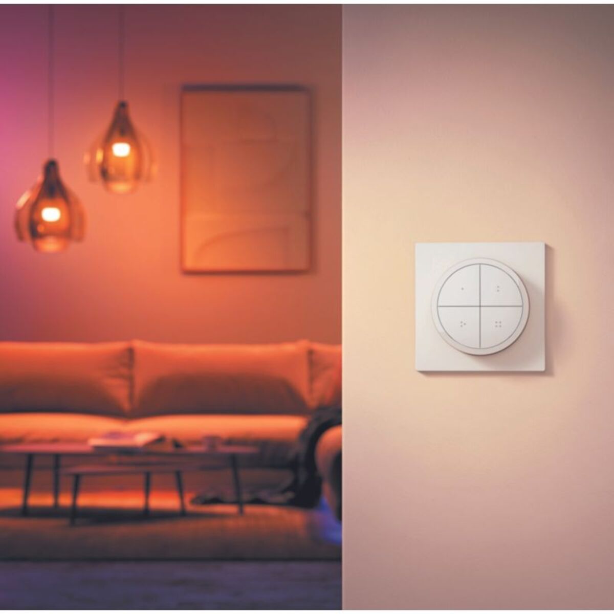 Interrupteur PHILIPS HUE Tap dial switch Blanc