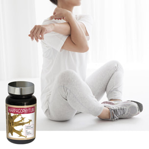 NUTRI EXPERT - Harpagophytum - Favorise la mobilité articulaire - Améliore la flexibilité des articulations et yendons - Soulage les douleurs articulaires - Végan - Lot de 2 produits