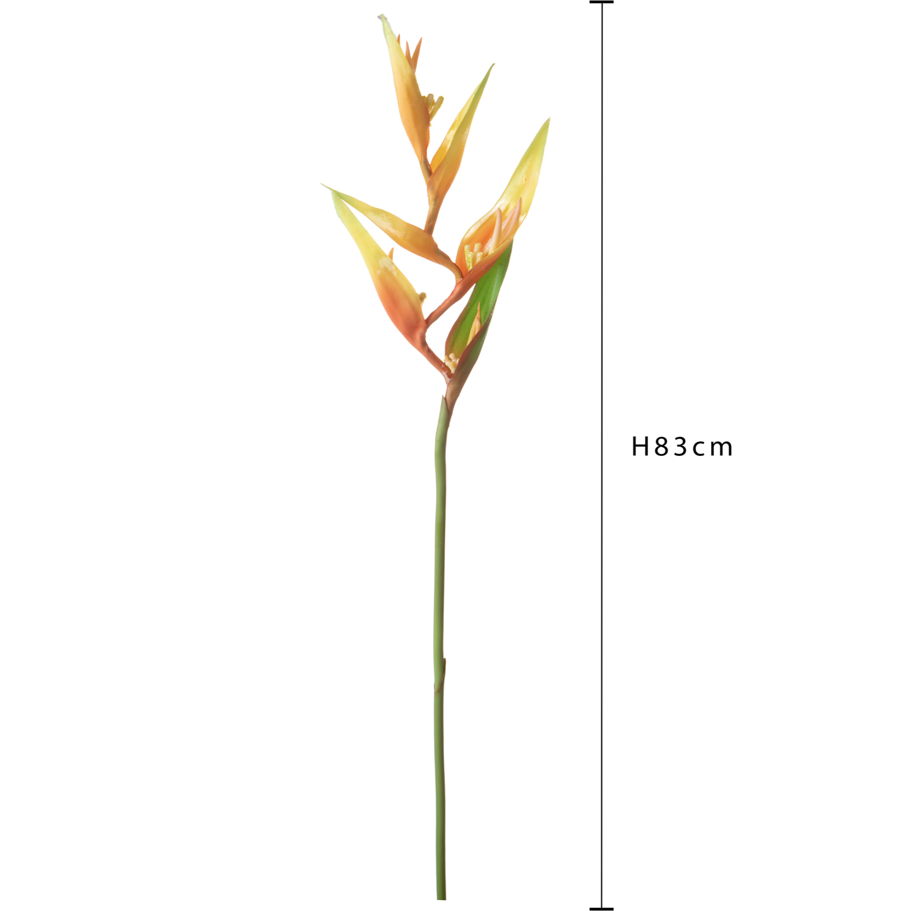 Heliconia 83 Cm - Pezzi 6 - 12X83X12cm - Colore: Arancio - Bianchi Dino - Fiori Artificiali