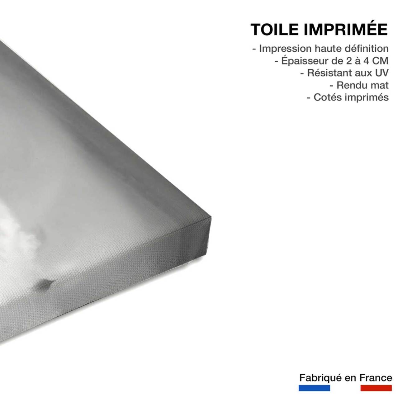 Tableau ocean surf plage landaise  Toile imprimée