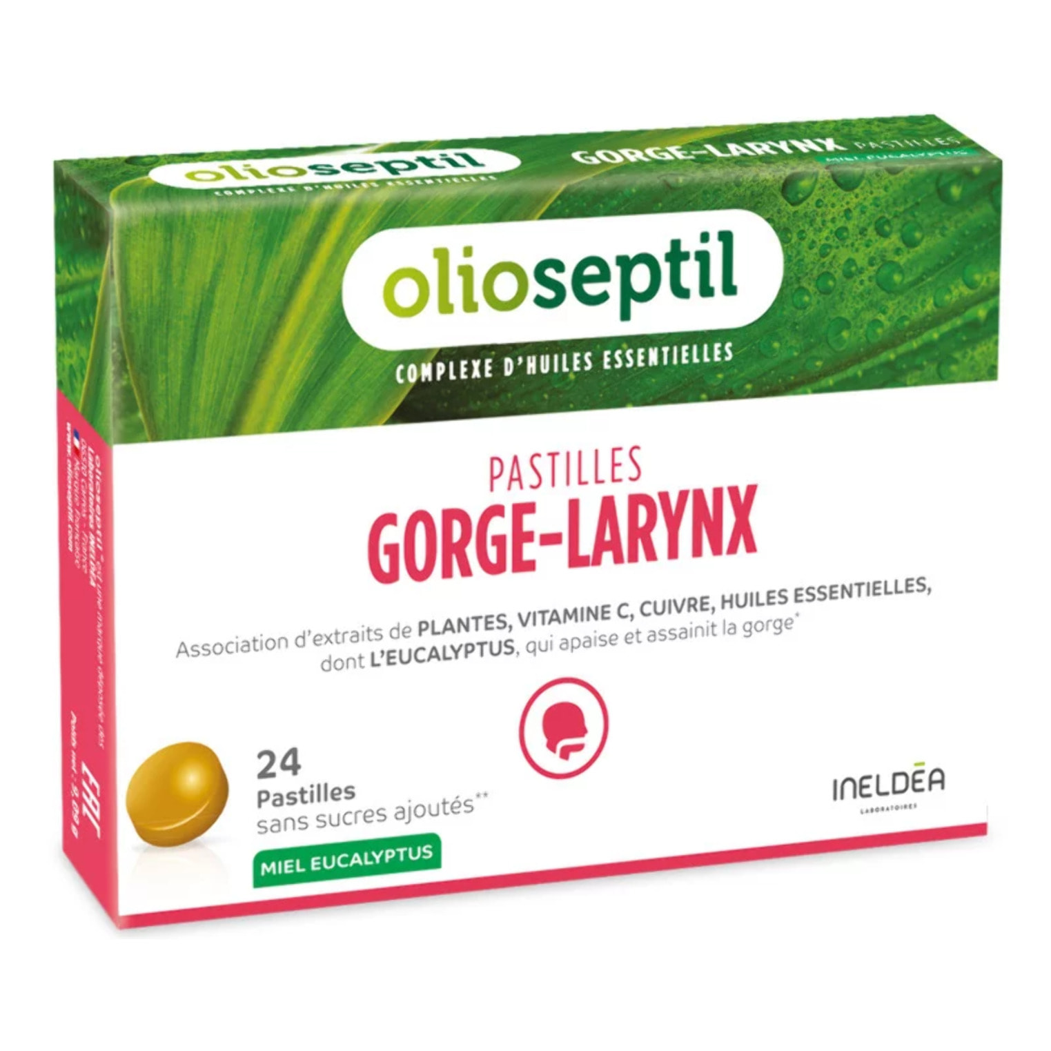 OLIOSEPTIL - Pastilles à Sucer Gorge-Larynx - Apaise et Assainit la Gorge - Sans Sucres Ajoutés - Extraits de Plantes, Vitamine C, Cuivre et Huiles Essentielles - 24 Pastilles - Gout Miel eucalyptus - Miel-Plantes