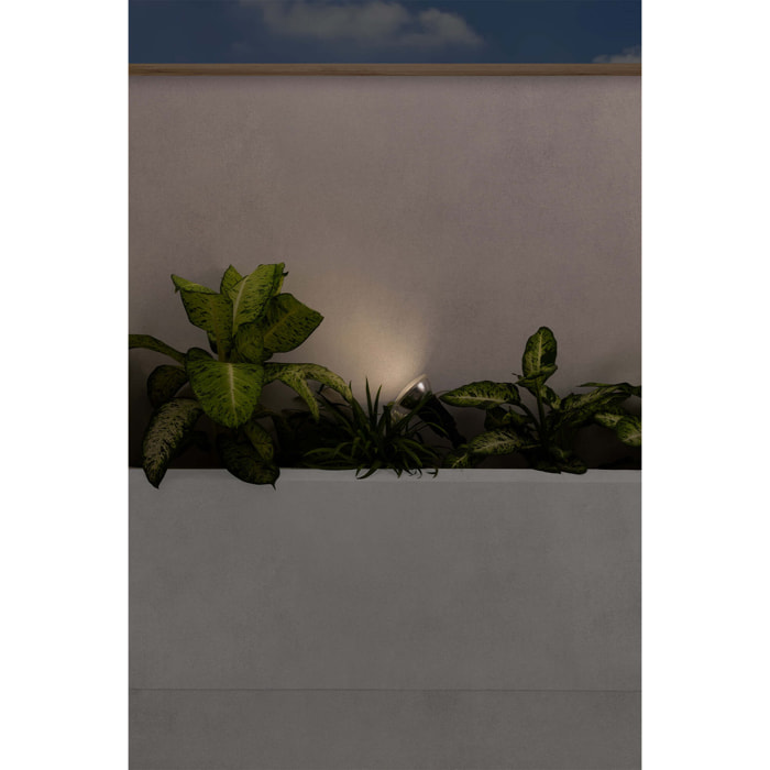 GARTEN-4 Estaca negra