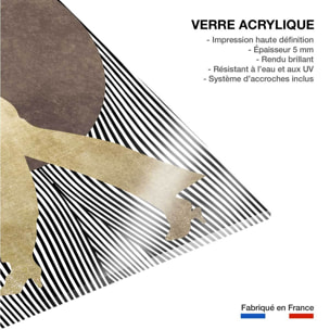 Tableau silhouette femme à chapeau Tableau plexiglas