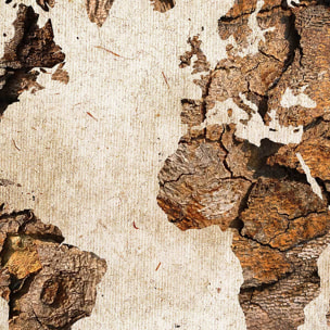 Affiche encadrée carte du monde bois rustique Affiche + cadre en métal - Noir