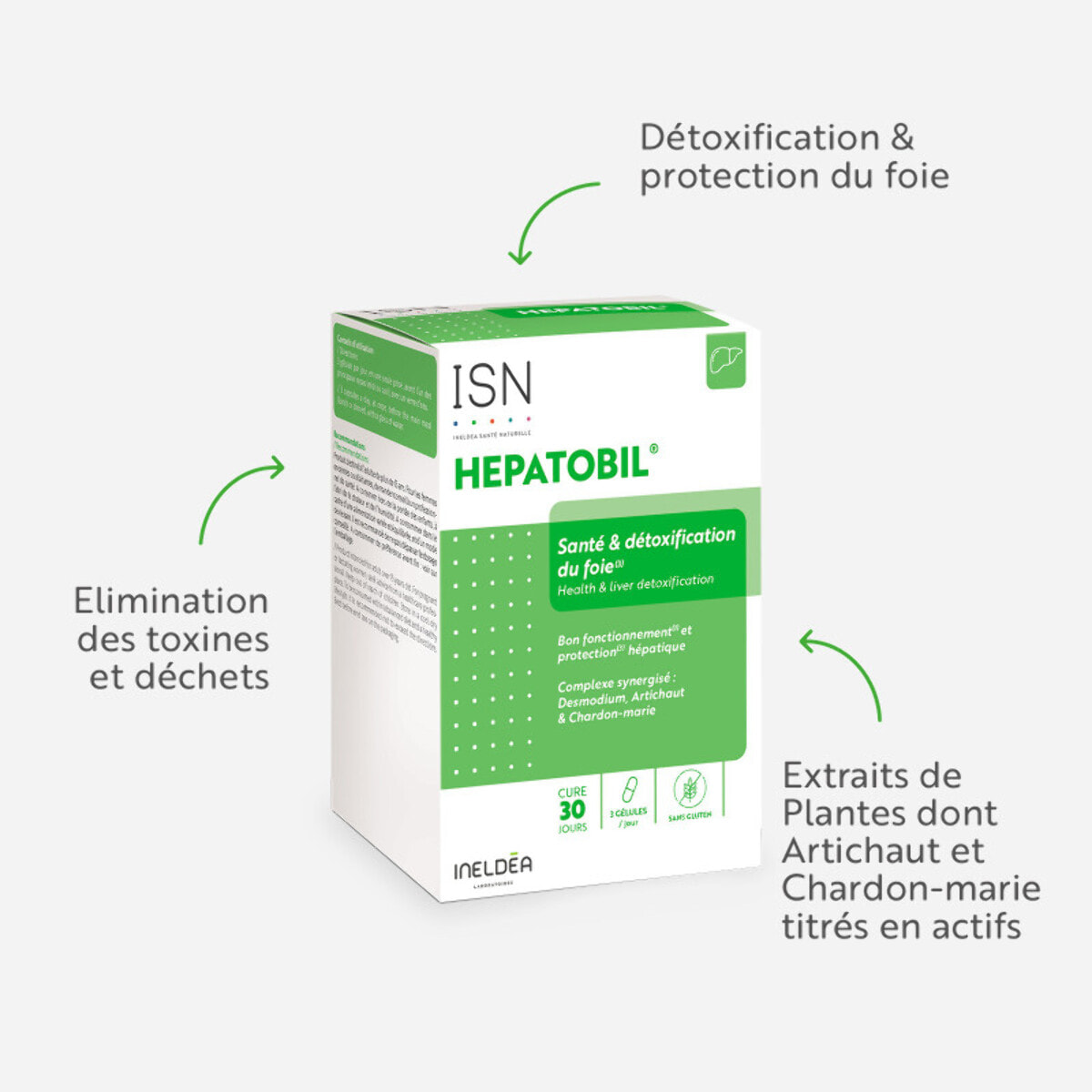 ISN - Hepatobil - Complément alimentaire à base de plantes - Favorise la Détoxification du Foie - Contribue à Améliorer la Digestion - Cure 30 jours