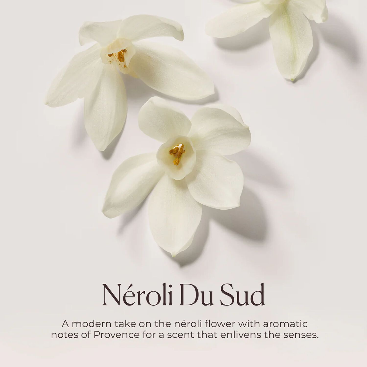 Neroli du Sud - Nettoyant Hydratant pour le corps 200 ml