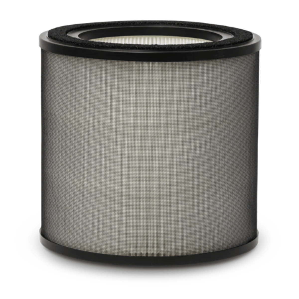 AEG Filtro de protección contra olores y gases Filtro para Multi 7000 AFFBTH2
