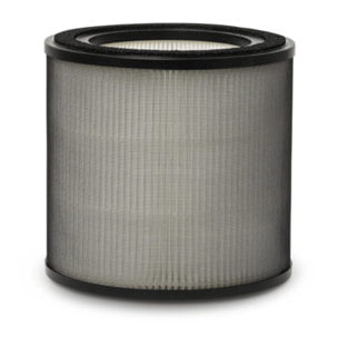 AEG Filtro de protección contra olores y gases Filtro para Multi 7000 AFFBTH2