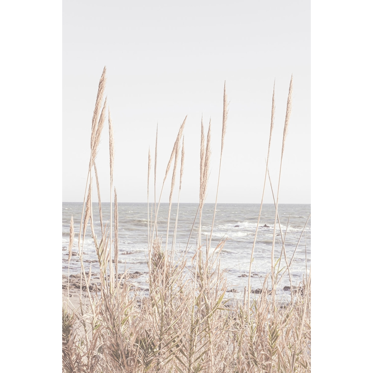 Tableau épis au bord de l'eau Tableau plexiglas