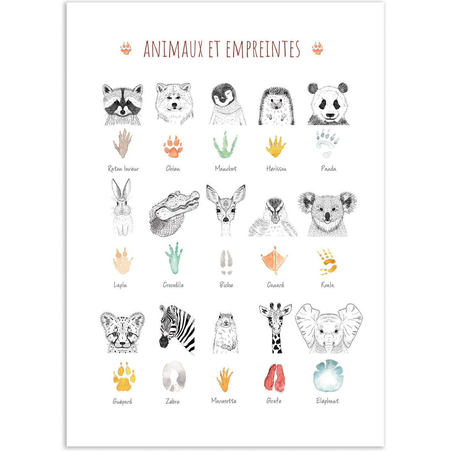Affiche - Animaux et empreintes - Les loulous