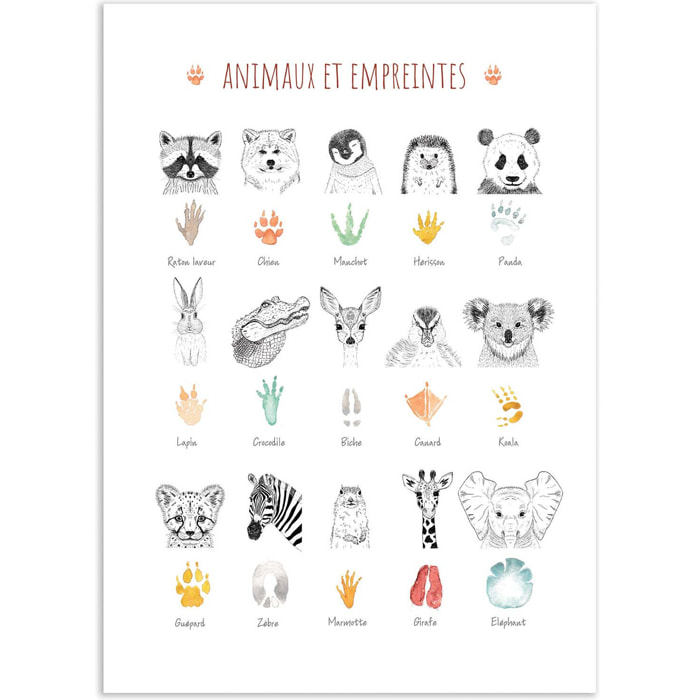 Affiche - Animaux et empreintes - Les loulous