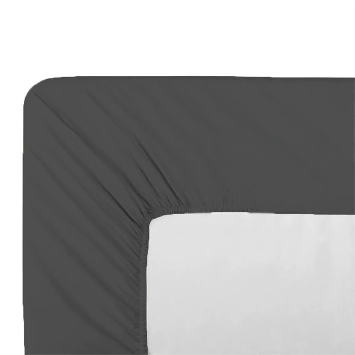 Drap housse b35 percale de coton uni anthracite Giulia titane