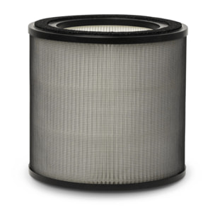 AEG Filtro de protección contra olores y gases Filtro para Multi 7000 AFFBTH2