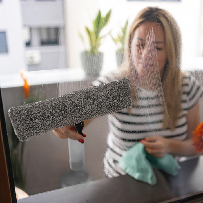 Raclette Avec Spray 220ml