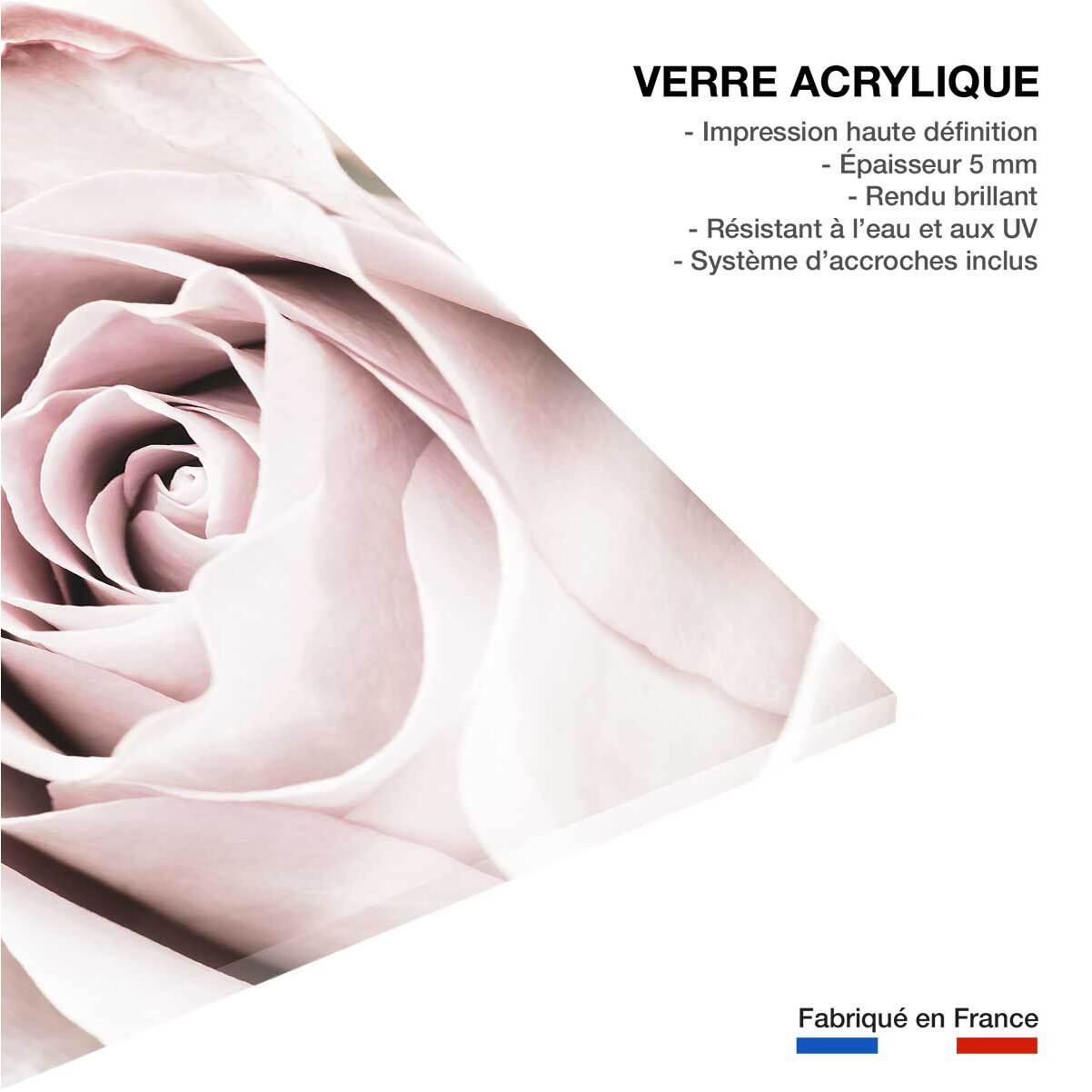 Tableau rosa romantica Tableau plexiglas