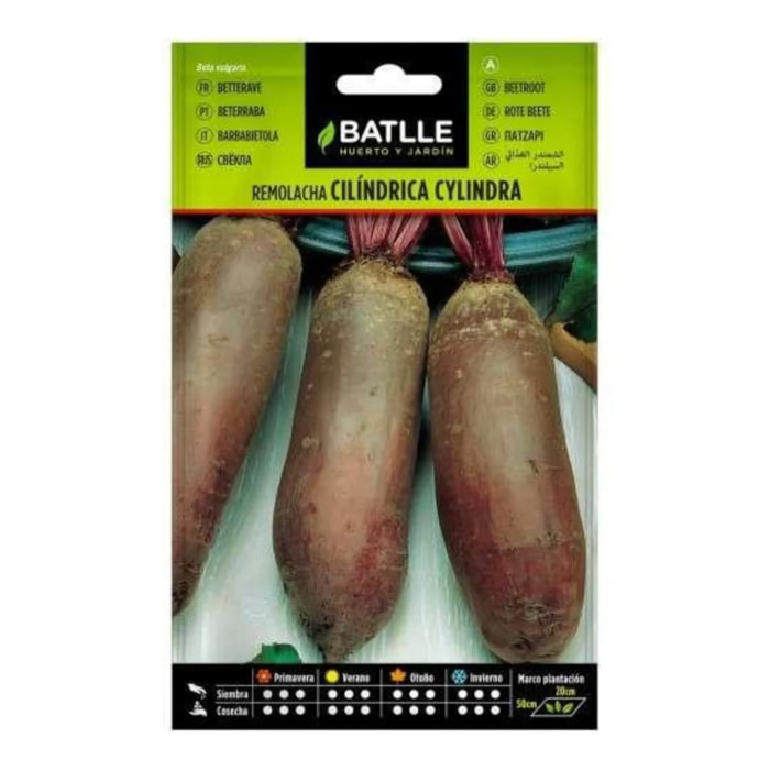 Semillas de Remolacha Cylindra Batlle