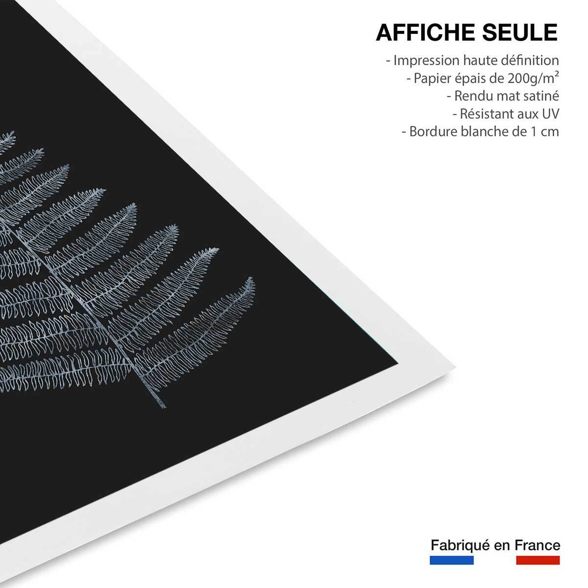 Poster fougère royale blanche Affiche seule