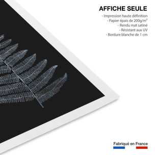 Poster fougère royale blanche Affiche seule