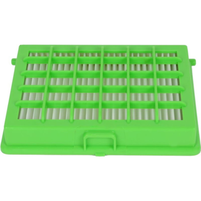 Filtre MOULINEX Hepa ZR004501