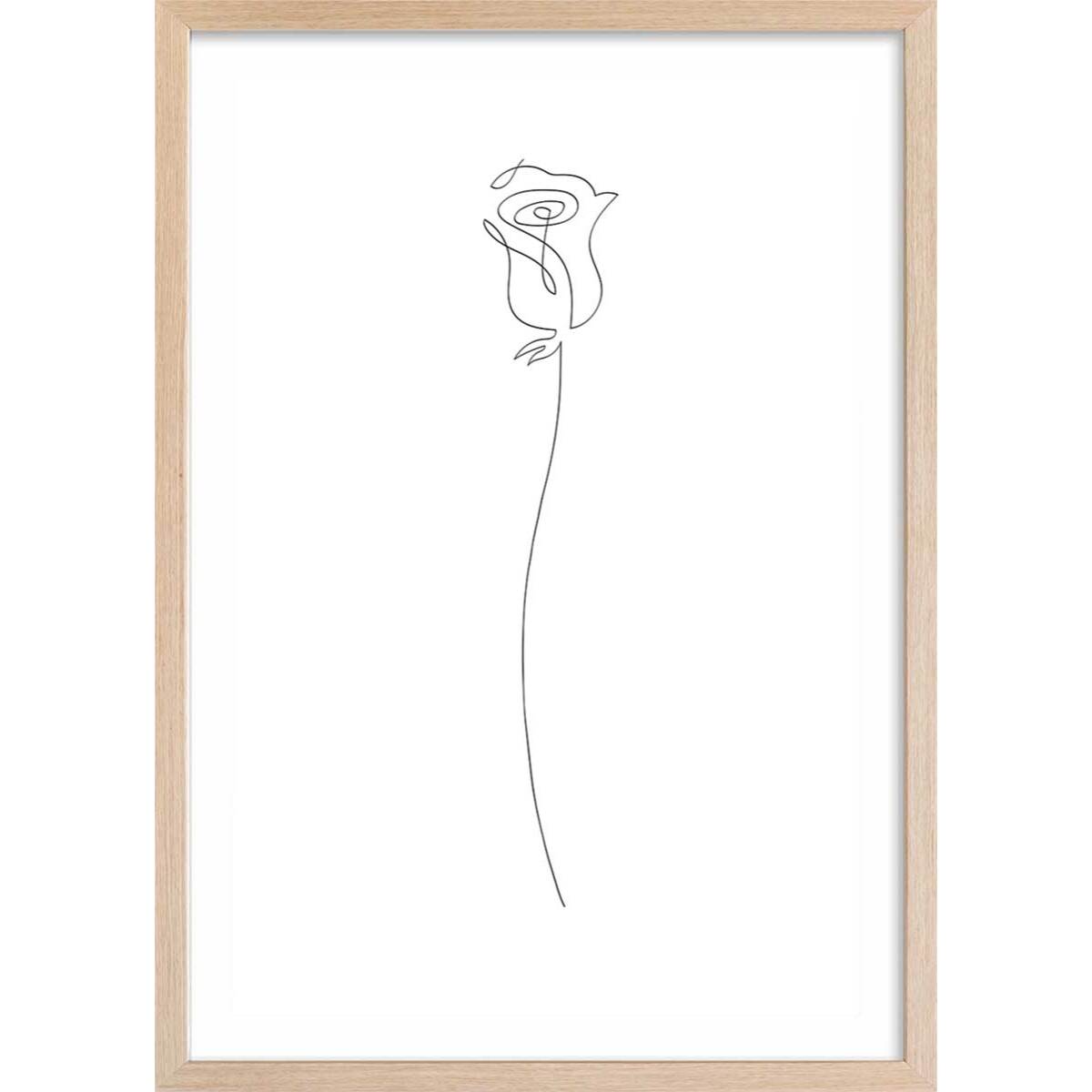 Affiche Bouton de rose Croquis Affiche + cadre en bois - Chêne