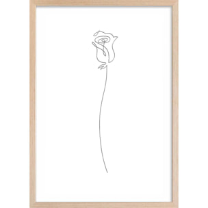 Affiche Bouton de rose Croquis Affiche + cadre en bois - Chêne