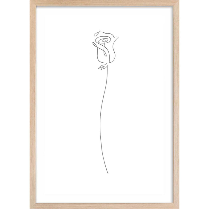 Affiche Bouton de rose Croquis Affiche + cadre en bois - Chêne
