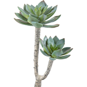 Succulent A 2 Diramazioni. Altezza 22 Cm - Pezzi 4 - 22X8X12cm - Colore: Grigio - Bianchi Dino - Piante Artificiali