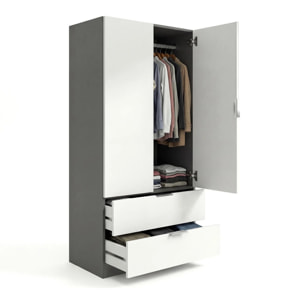 Armario de 2 puertas y 2 cajones en gris grafito y blanco artik 81,5x180 cm Lark Gris Grafito - Blanco Artik (Blanco Mate)
