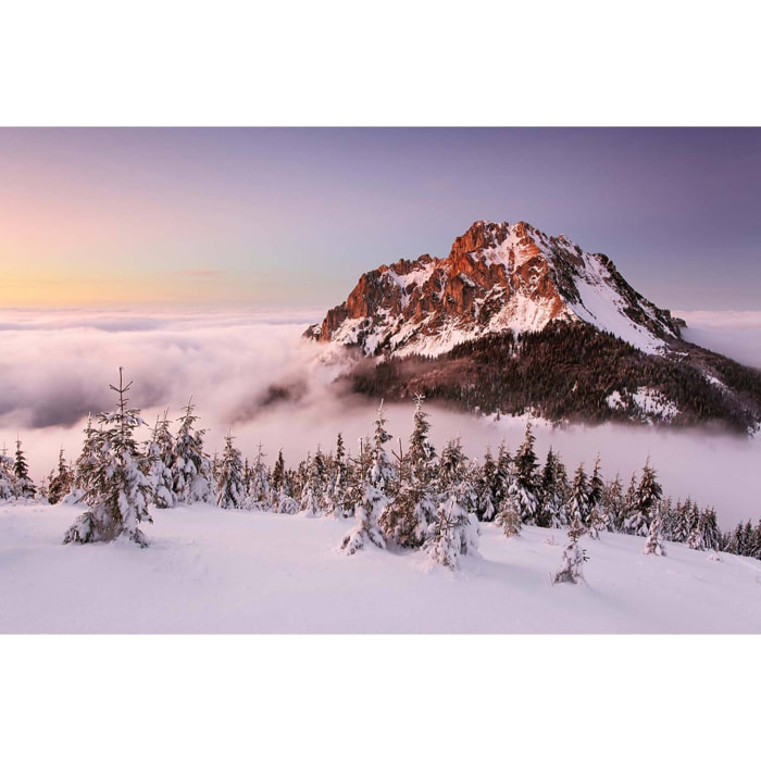 Tableau montagne 2500 mètres  Toile imprimée