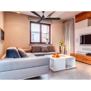 Ventilador de techo Reversible Termostato Wifi Motor DC Techos Inclinados Mando a Distancia Hypersilence Memoria FullWood FernandoD166C0464605 PURLINE